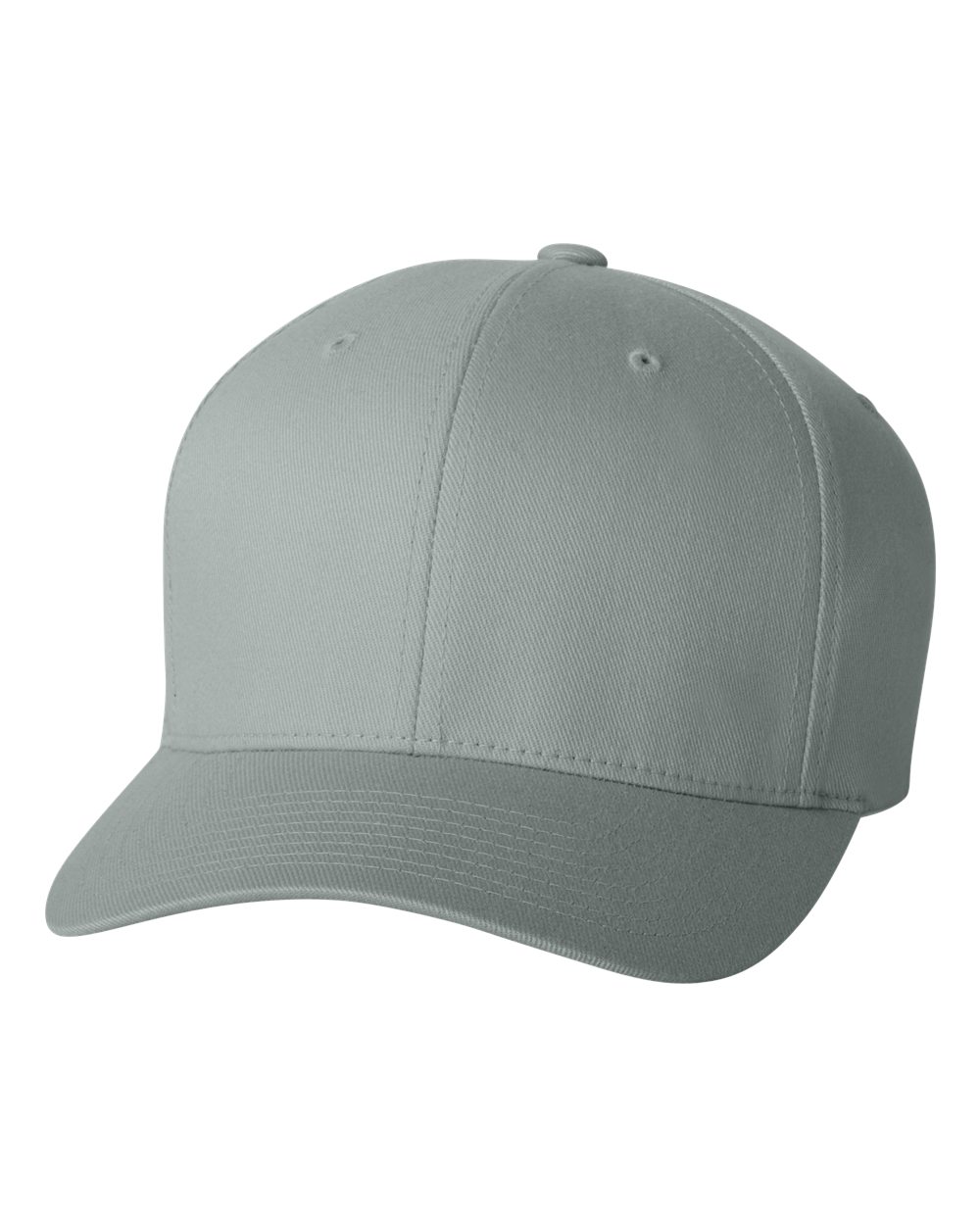 Flexfit 6 Panel