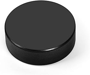 Hockey Puck